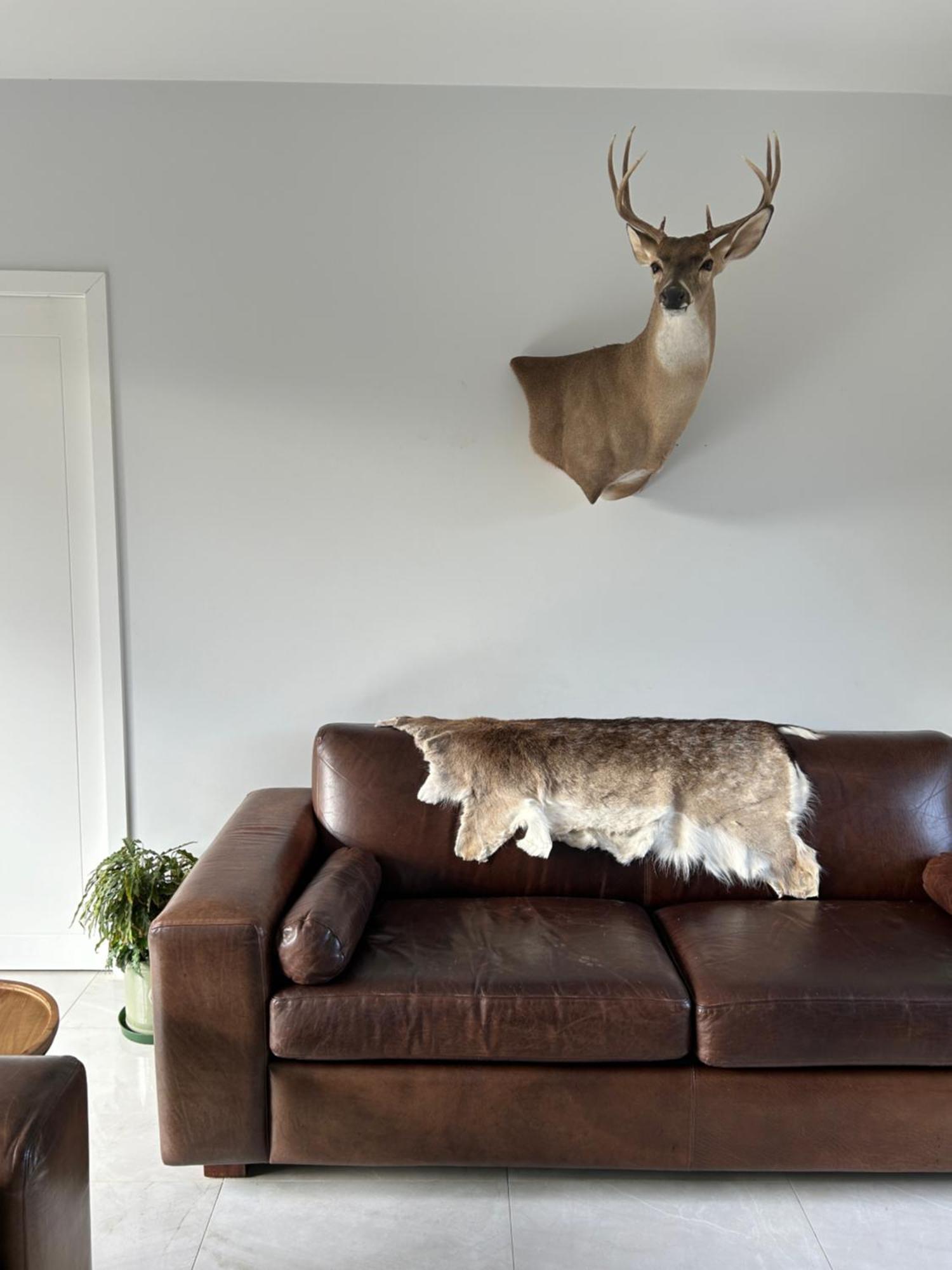 Tarras Countryside Retreat - Near Tourist Route Apartment Екстериор снимка