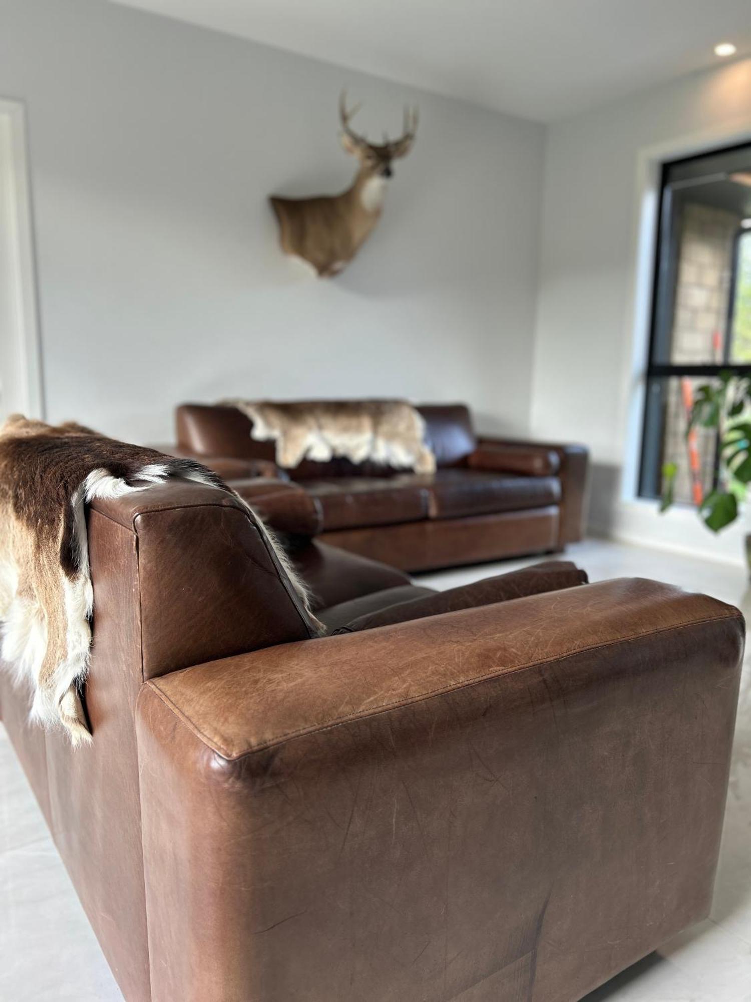 Tarras Countryside Retreat - Near Tourist Route Apartment Екстериор снимка